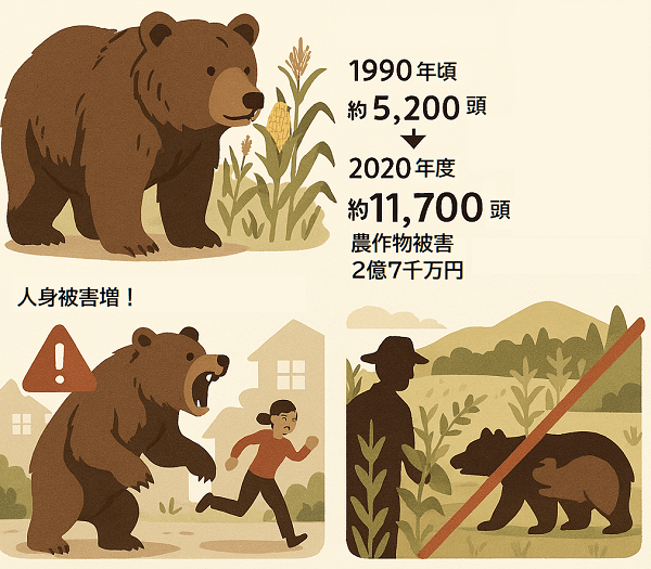 北海道のヒグマの被害