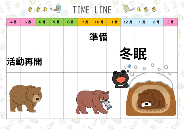 熊の冬眠スケジュール