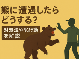 クマに遭遇したらどうする