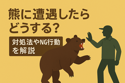 クマに遭遇したらどうする